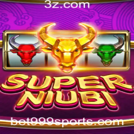 Explorando SuperNiubi: O Que Você Precisa Saber